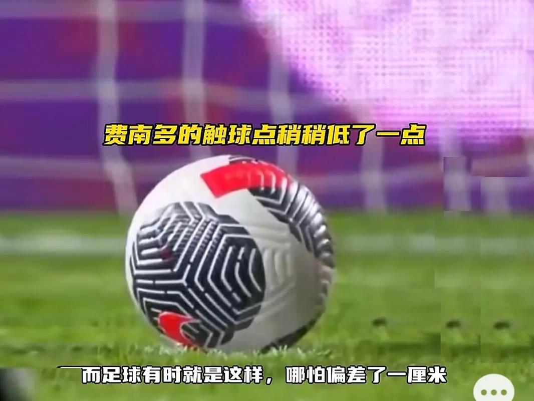 职业体育永