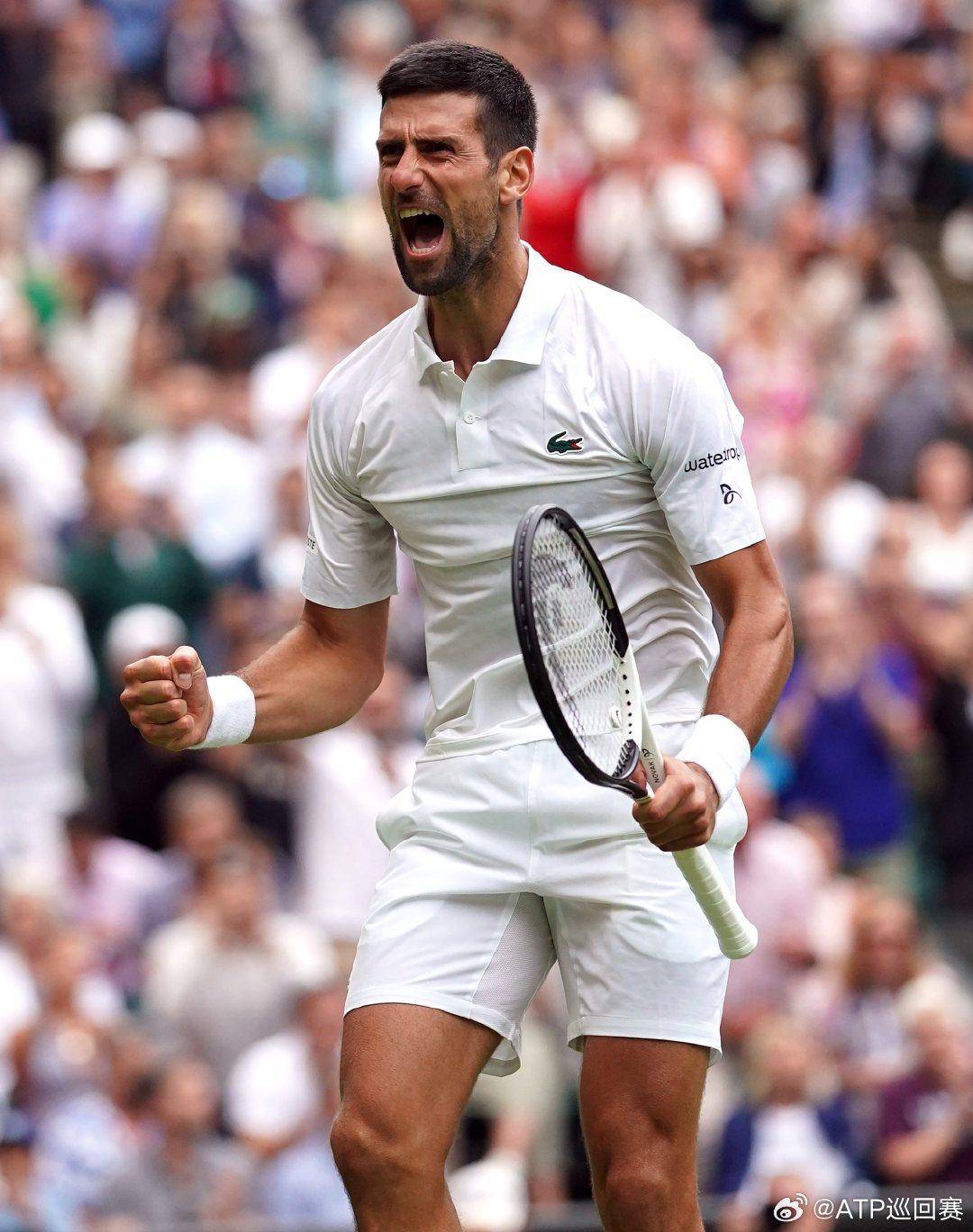 恩古莫哈的 恩古莫哈的